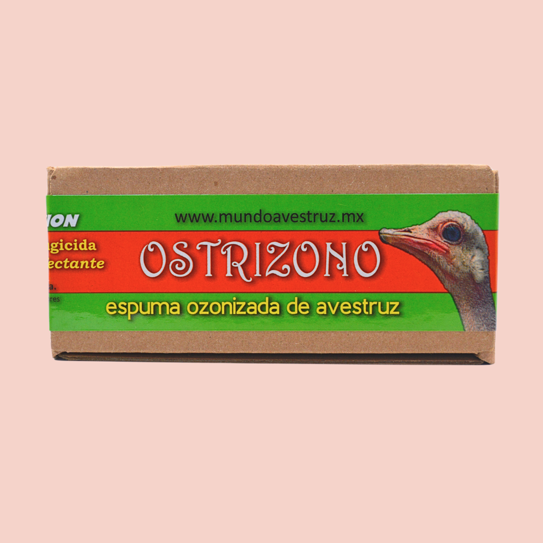 Ostrizono